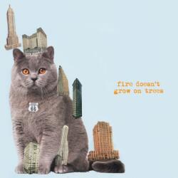 Brian Jonestown Massacre Fire Doesn't Grow On Trees - facethemusic - 7 290 Ft