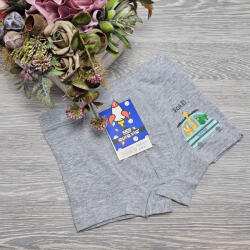 Aura Via Fiú boxer állat mintás 4-5 év, Világos szürke 71144