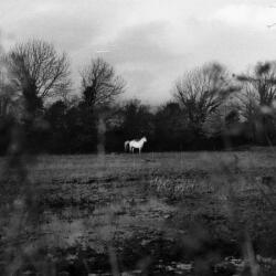 Flatsound When You Run Away, Do You Close Your Eyes