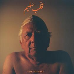 Jaubi A Sound Heart - facethemusic - 9 590 Ft