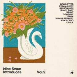 V/A Nice Swan Introduces Vol. 2