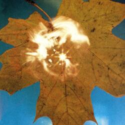 SOYUZ Force of the Wind - facethemusic - 5 190 Ft