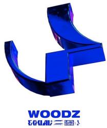 WOODZ EQUAL