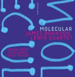James Brandon Lewis Quartet MOLECULAR