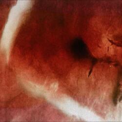 Angles & Elle-Kari Death of Kalypso - facethemusic - 16 690 Ft