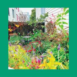 Pinks Reds and Purples Unwishing Well (White Vinyl) - facethemusic - 12 490 Ft