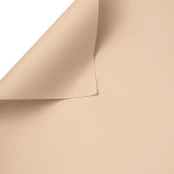 Valex Decor Csomagoló dekor fólia ív 58cm x 58cm, 20db - Natúr (SNT58-98)