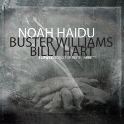 Haidu, Noah Trio Equilateral