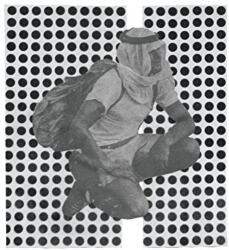 Ulrika Spacek Album Paranoia