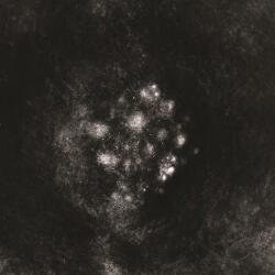 Saffronkeira SYNECDOCHE