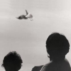 Albanese, Federico Before and Now Seems Infinite - facethemusic - 9 190 Ft