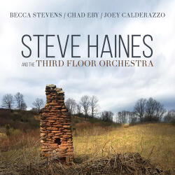 Haines, Steve And The Thi Steve Haines And The
