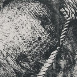 LIFESICK Swept In Black