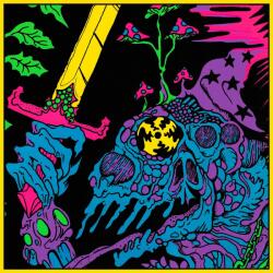 King Gizzard & The Lizard Wizard Live In Adelaide '19