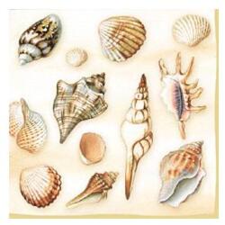  Szalvéta Shell cream