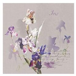  Szalvéta Iris