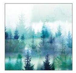  Szalvéta, Forest fog
