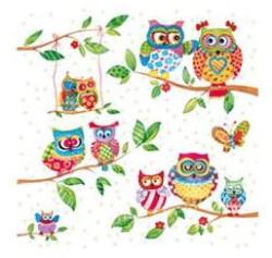  Szalvéta Owls in Summerland