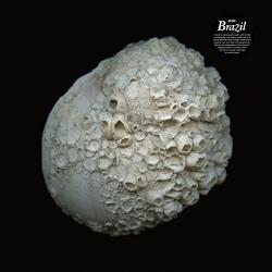 JFDR Brazil - facethemusic - 9 490 Ft