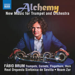 Brum, Fabio Alchemy - New Music For