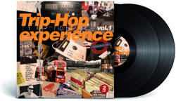 Various Trip Hop Experience