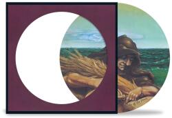 Grateful Dead Wake of the Flood (Picture Disc Vinyl)