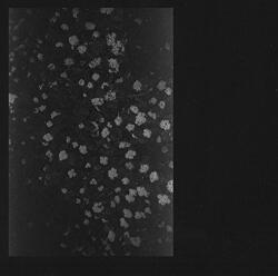 MOTORAMA POVERTY - facethemusic - 9 790 Ft