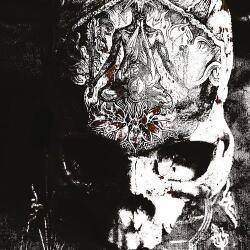 Blight Temple Of Wounds -digi-