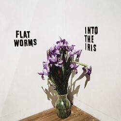 FLATWORMS Into the Iris