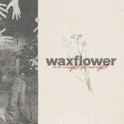 WAXFLOWER We Might Be Alright -ep-