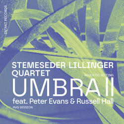 Stemeseder Lillinger Q Umbra Ii - facethemusic - 9 190 Ft