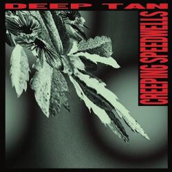 DEEP TAN Creeping Speedwells -mlp-