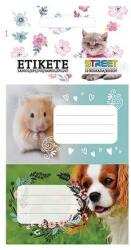 STREET Animals cute 10 db (23325)