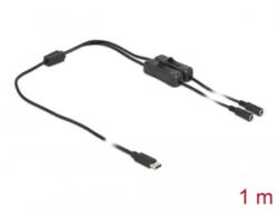 Delock USB Type-C apa - 2 db. DC 5, 5 x 2, 1 mm anya csatlakozójú kábel 1m (86800)