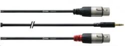 Cordial CFY 3 WFF 3.5mm Jack apa sztereo -> 2x XLR 3 pólus anya (CFY 3 WFF) - aqua