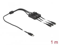Delock USB Type-C apa - 3 db. DC 5, 5 x 2, 1 mm anya csatlakozójú kábel 1m (86801)
