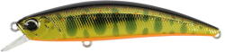 Duo Vobler Duo Spearhead Ryuki 80SP 8cm 5.6g MCC4084 Gold Yamame (DUO95465)
