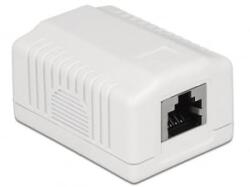 Delock Keystone 1 portos fali aljzat (86196) (86196)