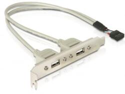Delock DL71000 Slot konzol 1x belső USB 9 tűs -> 2x USB2.0 külső (71000)