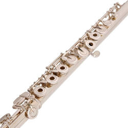 Trevor J. James Trevor James 31VF-ROEA Virtuoso fuvola, ezüst test, nyitott