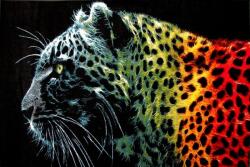 Kolibri Covor Modern, Kolibri Black Leopard, Diverse Dimensiuni, 2300 gr mp (11016/180 2X3) Covor