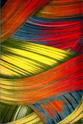 Kolibri Covor Modern, Kolibri Feather, 120 x170 cm (4823057767759) Covor
