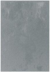 Sky Covor Belgian Sky din Microfibra, Lavabil, Fir moale, Gri (5415278240778) Covor
