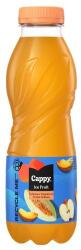Cappy őszibarack-sárgadinnye 12% 0, 5L (DRS)