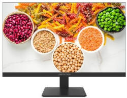 Hikvision DS-D5024F2-1P2 Monitor