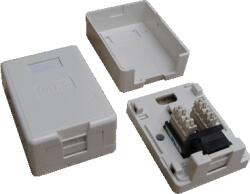 Datacom UTP 1xRJ45 priză CAT6 pentru tencuială (rezistent la praf) (2335)