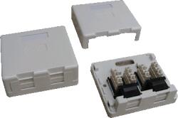 Datacom Priză dublă CAT5E UTP UTP (rezistent la praf) (2334)
