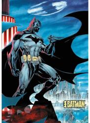 Trefl 10890 - DC Comics - Batman - 1000 db-os Premium Plus puzzle (10890)