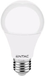 Entac E27 LED izzó Globe 10W/ 59W WW 3000K 950lm (LLG27-10W-WW)
