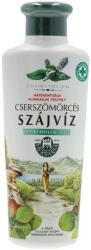 Herbária Csersz. Szájvíz Mentolos - delfinbuvar